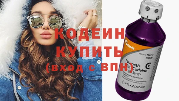 крисы Сатка