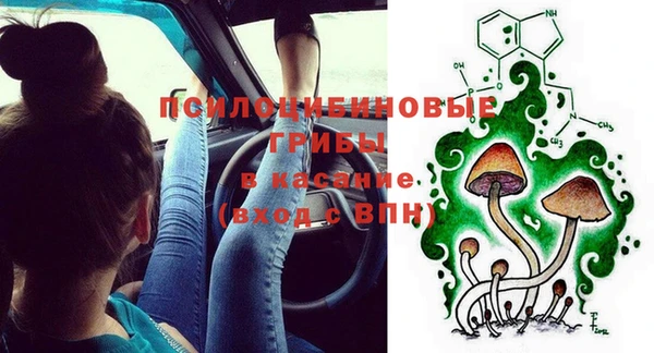 дмт Вязьма
