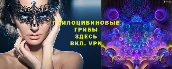 дмт Вязьма