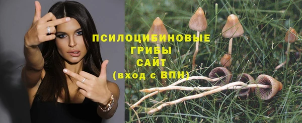 дмт Вязники