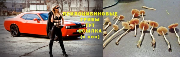 дмт Вязники