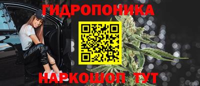 СК Гатчина