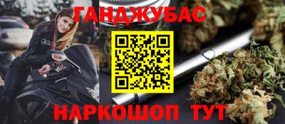 СК Гатчина