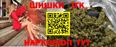СК Гатчина