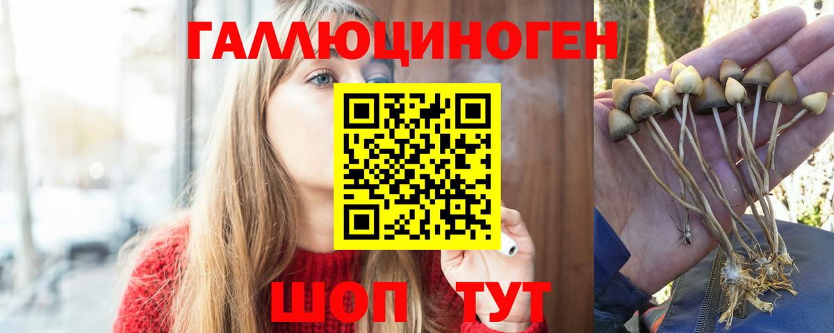 Псилоцибиновые грибы мухоморы  Псилоцибиновые грибы ЛСД  Вход с VPN  Муром 