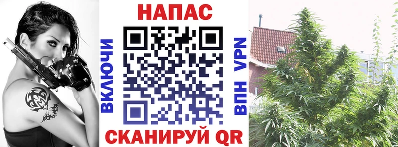 Конопля конопля  что такое   blacksprut как войти  Муром 